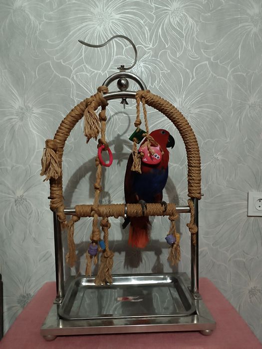 Стенд игровая для попугаев