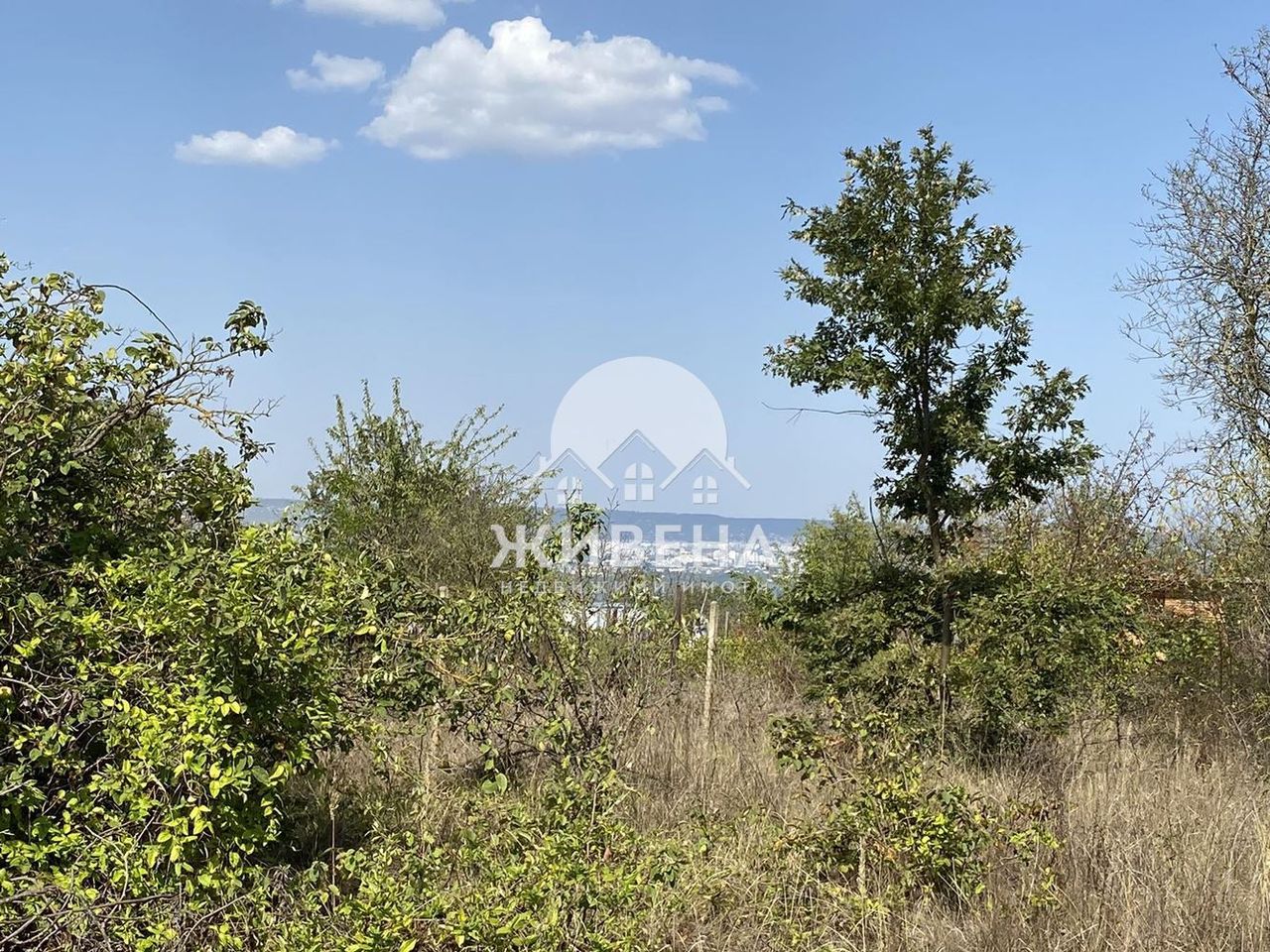 Продава се Парцел в с. Константиново, Област Варна - 500 кв.м за 40 €/кв.м - Снимка #4