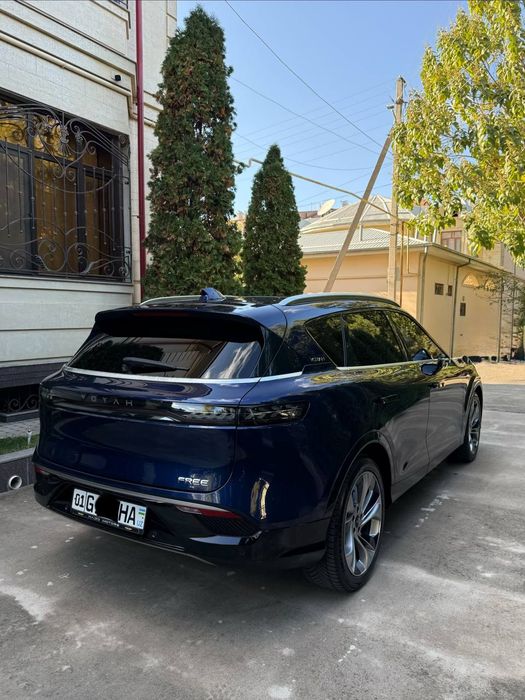 24.250.S. VOYAH Free.