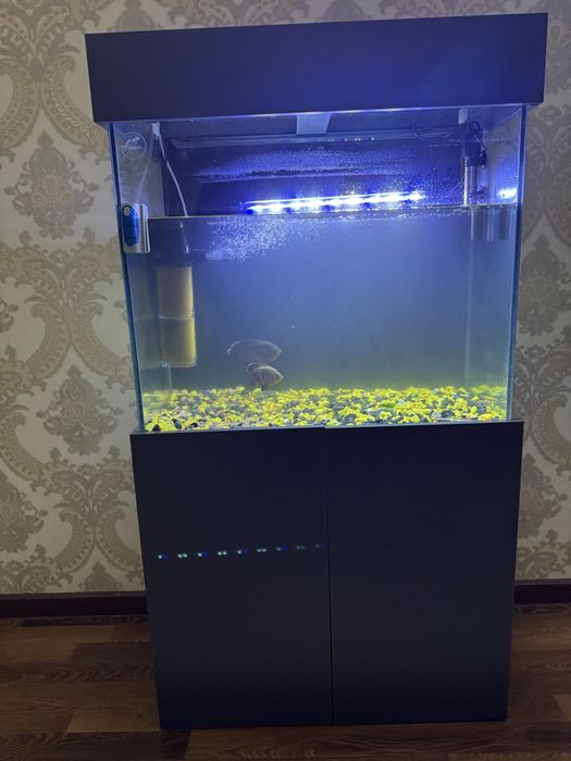 Аквариум 300л с рыбками