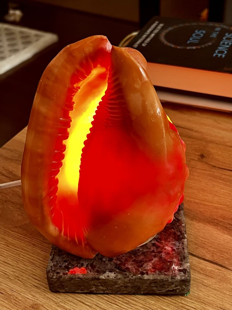 Veioza cu camee sculptata manual in scoica naturala
