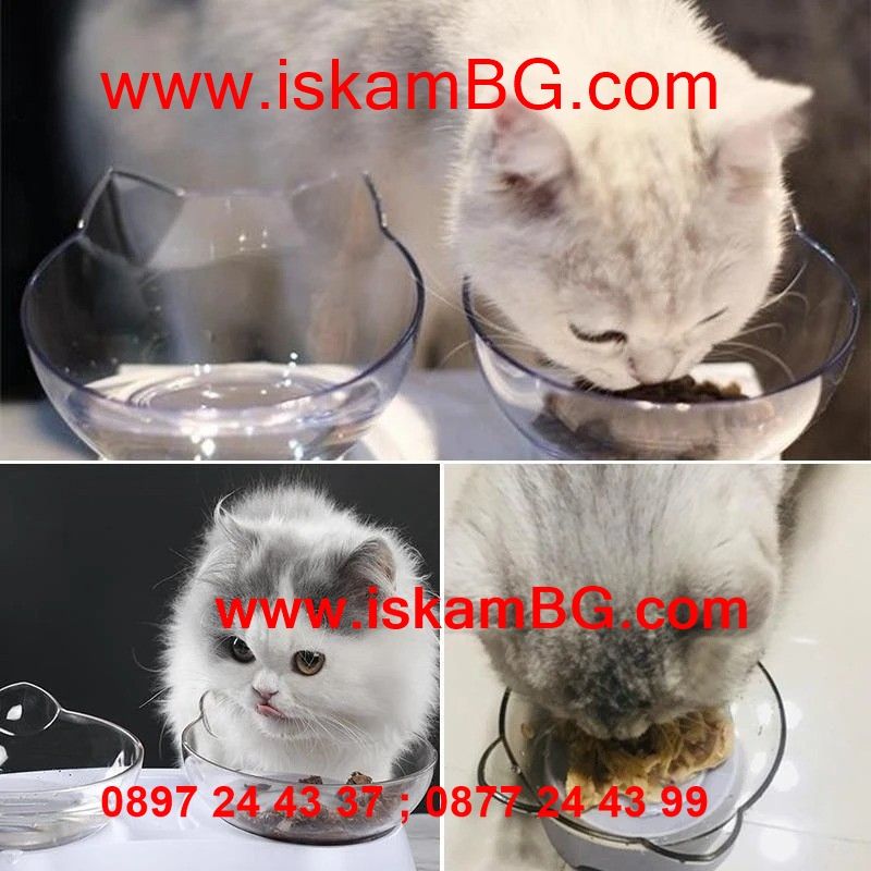 Пластмасови купички за котки за храна и вода с наклон - КОД 2742