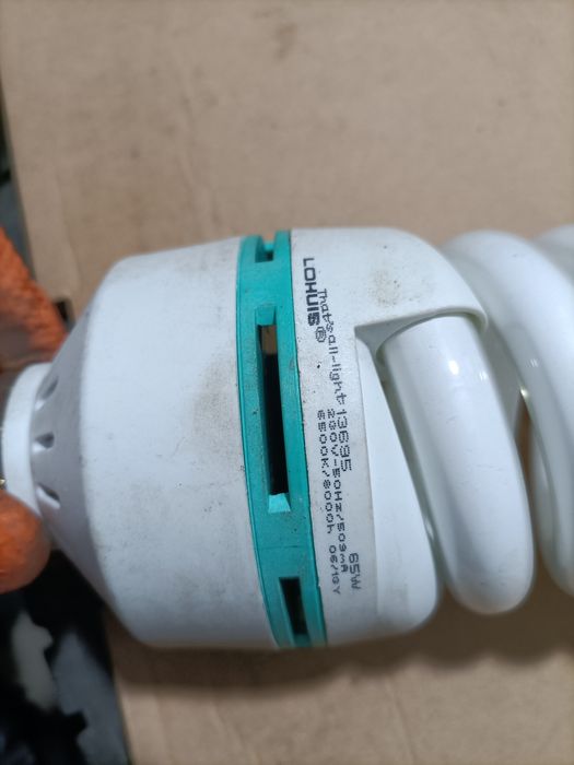 Bec economic 65W Full Spiral 6500K , Lohuis Rohs