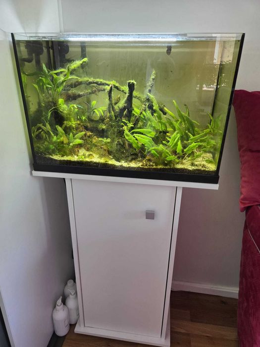 Vand acvariu (80L) +suport +skimmer +2 filtre externe +accesorii