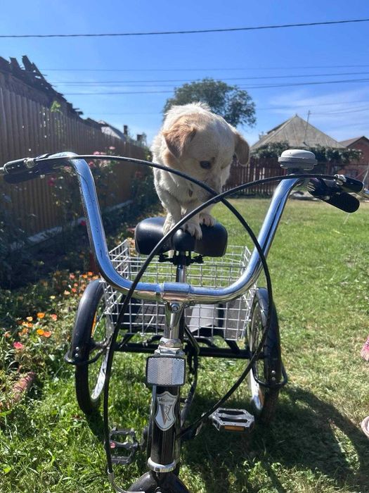 Bicicletă modernă pe 3 roți, nouă! (fără agentul de vânzări)