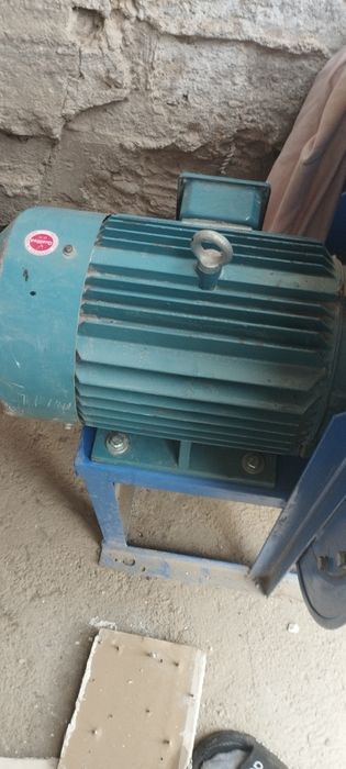 Продаётся улитка