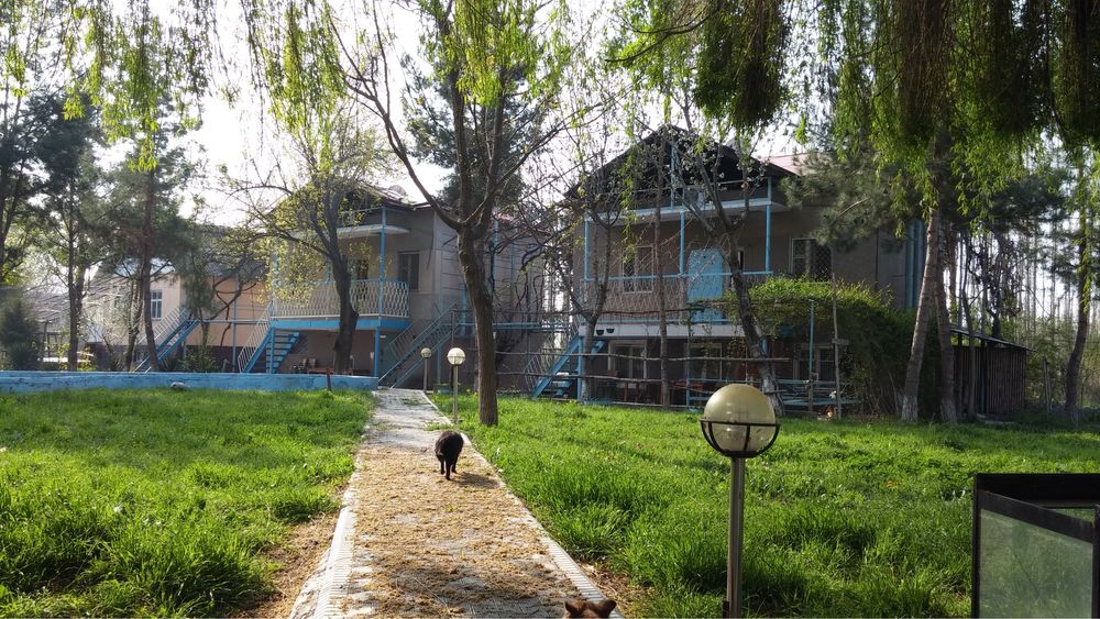 Продается дача на природе не доезжая ташморя
