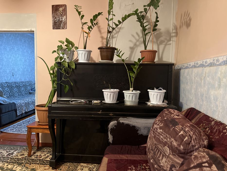 Пионино   Антикварная с Эссэра