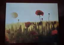 Tablou perete pictura panza flori de mac decoratiune bucatarie camera