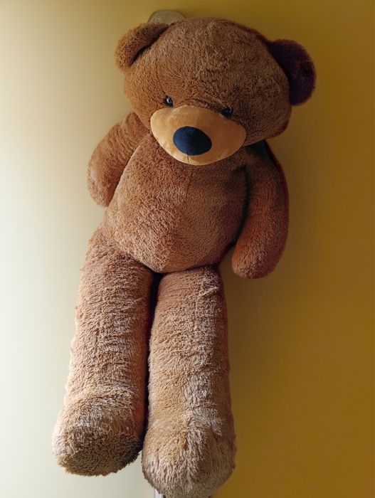 Urs maro de 2 metri