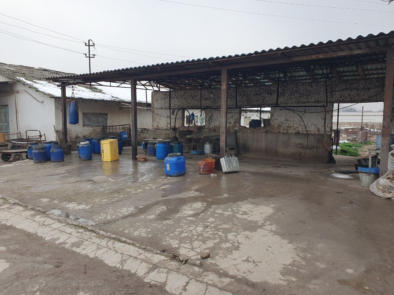 Новый Ташкентский р-н, Rabad, 70 сот