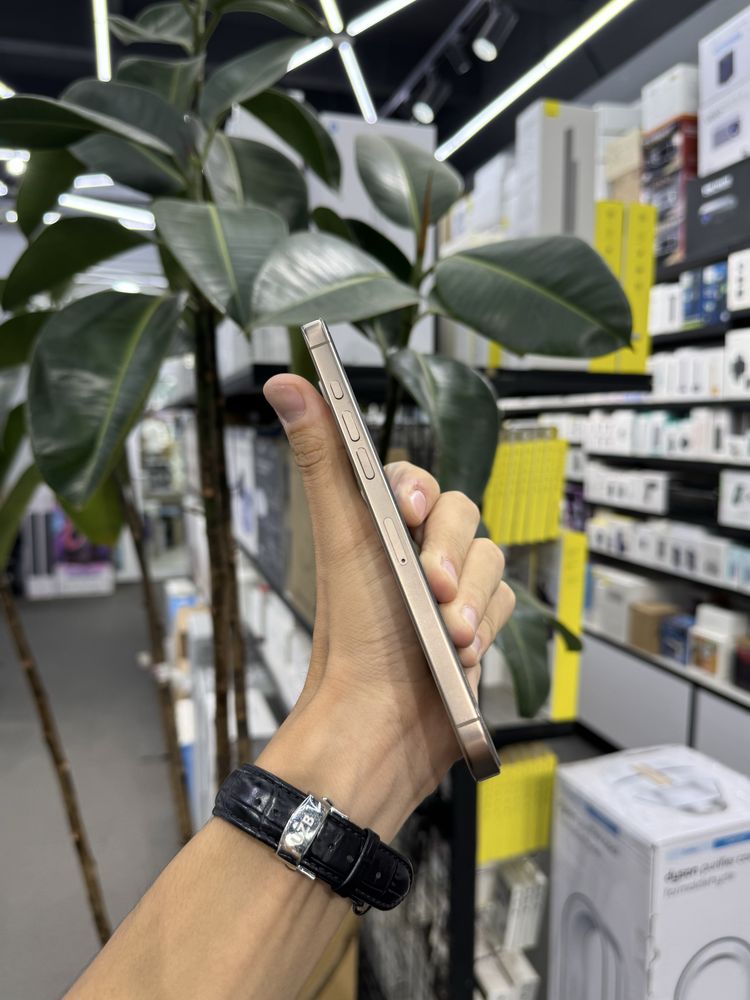 iPhone 16 Pro Max | 256GB | 94% | IDEAL