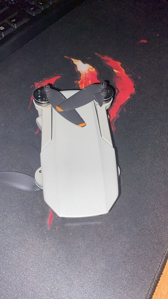 Dji mavic mini