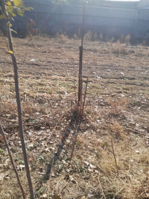 Yer sotiladi 5 sotix