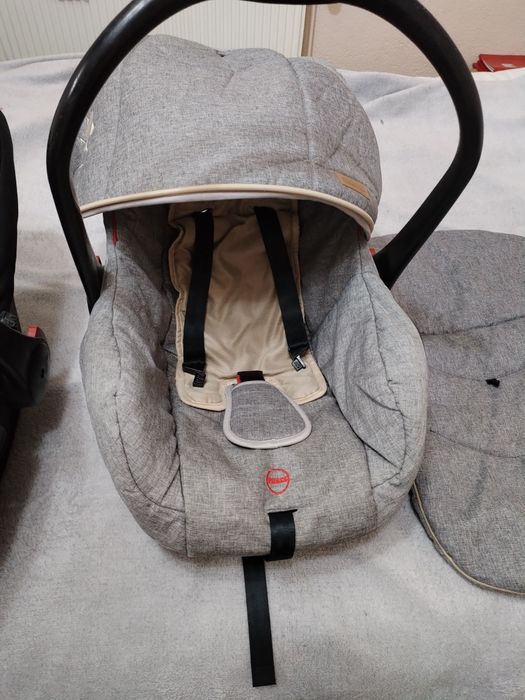 Ham chicco si doua scoici