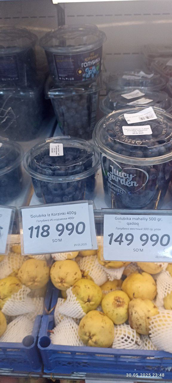 Golubika sotiladi