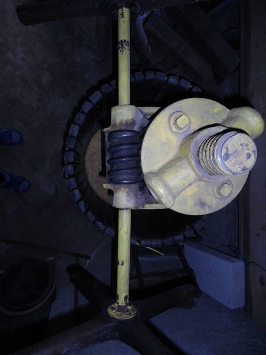 Presa struguri(Teasc)