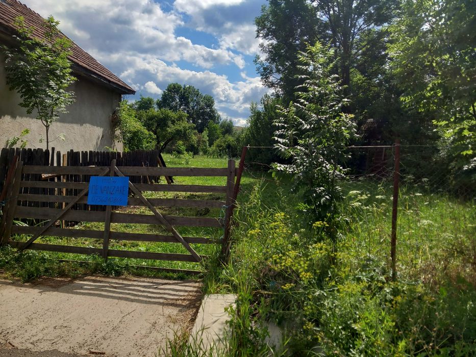 Vand teren in Calata