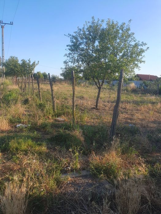 Vand teren / parcele comuna bucovat