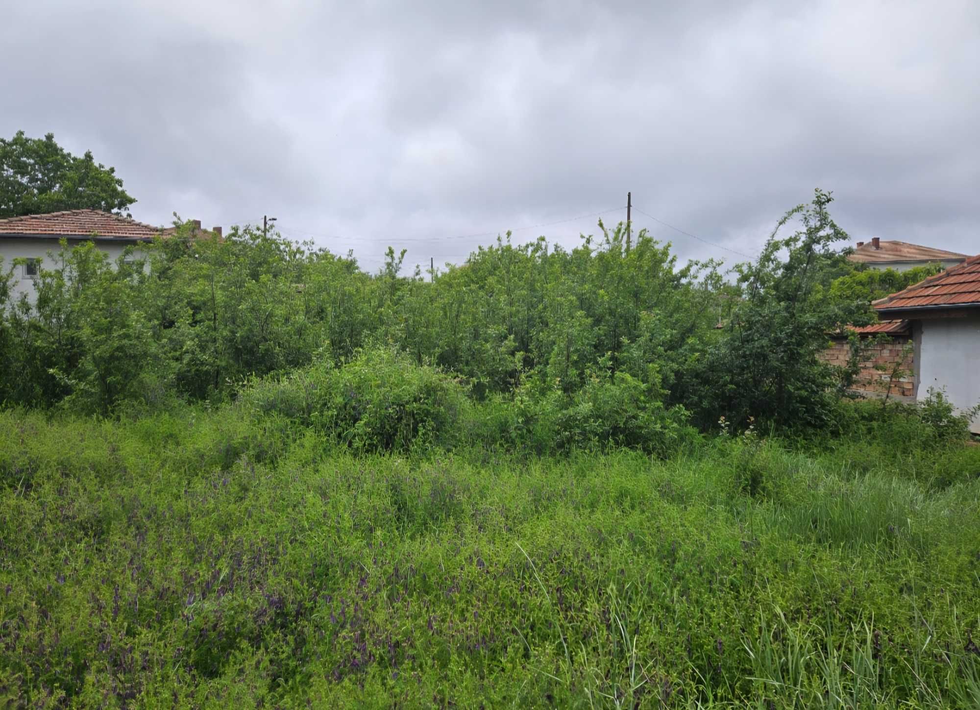 Парцел в село Беляковец