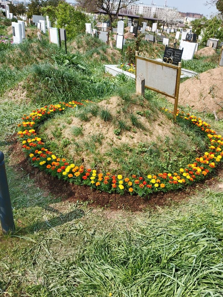 Кабристонга гул экиш
