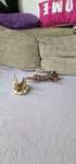 Lego Star Wars 9496 Desert Skiff