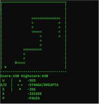 Atestat Informatica Clasa a 12 a C++ SNAKE GAME