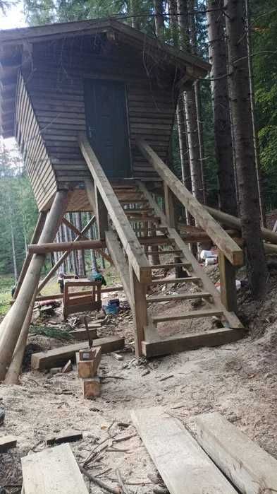 Observatoare si platforme de observare animale salbatice