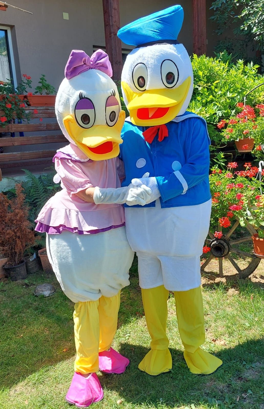 Mascote costume Donald si Daisy, Tom si Jerry