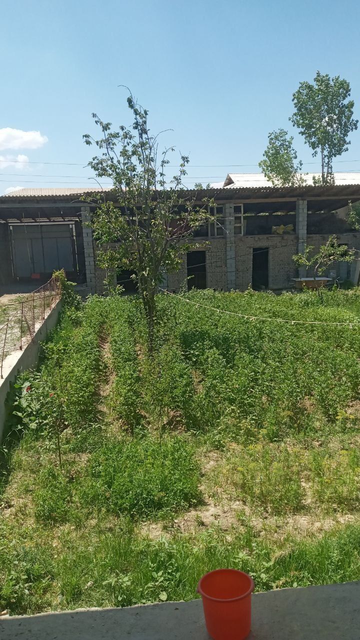 Ховли сотилади 8 сотих нархи 28000$