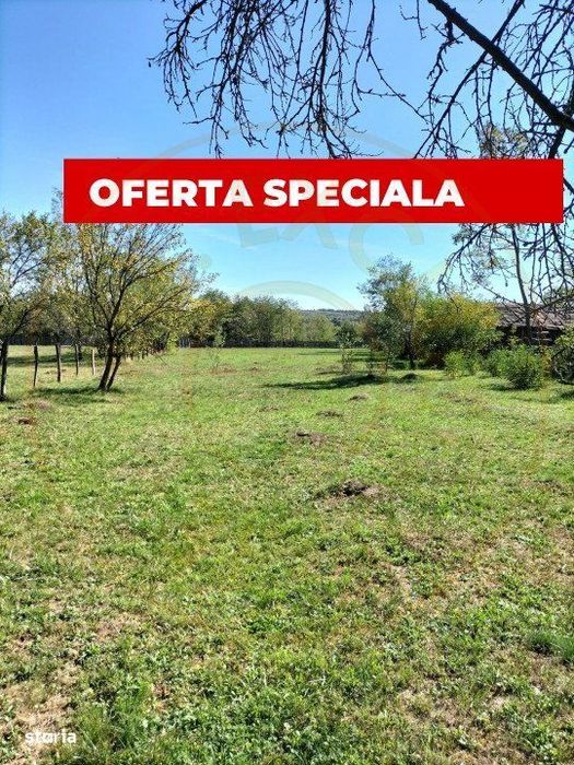Teren intravilan de vanzare in Berevoiesti, Arges – 2542 mp -raul Br