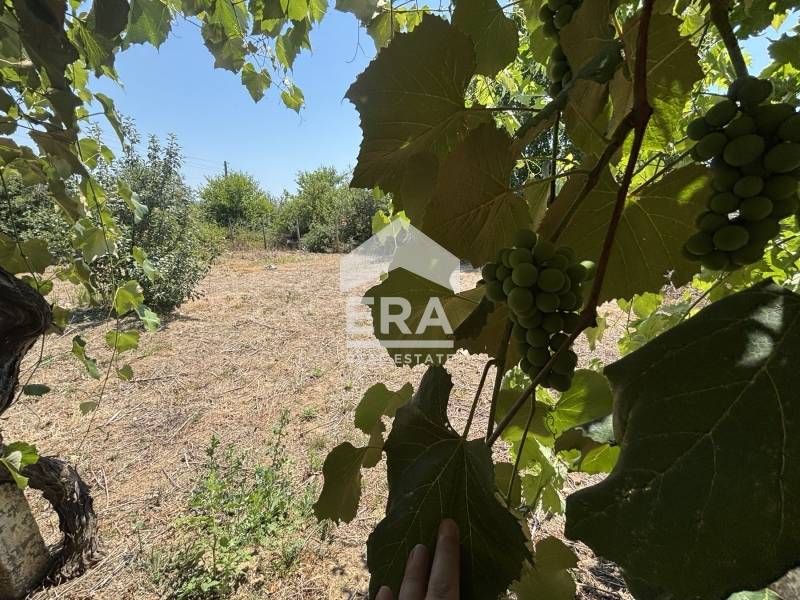 Ексклузивна къща с отремонтиран покрив за продажба в центъра на село С