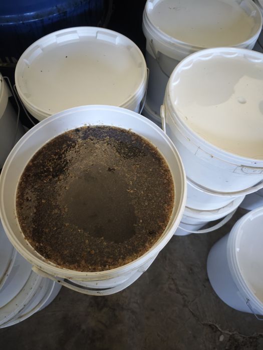 Vând miere poliflora