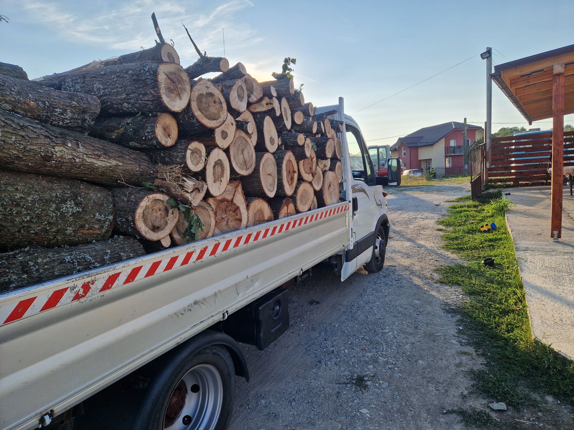 Lemne de foc esență tare