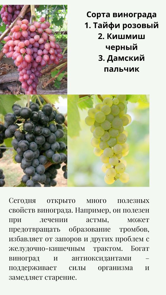 Саженцы винограда,саженцы плодовых деревьев