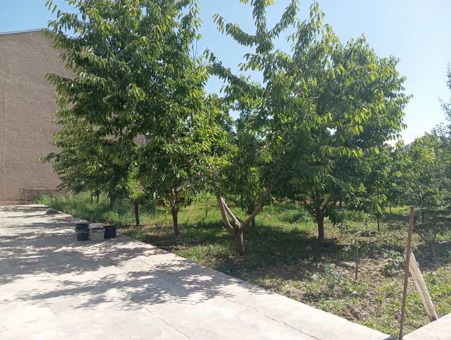 Koʻchmas mulk bardankoʻl