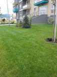 Apartament modern 2 camere | Parcare inclusa | Avantgarden Tractorul