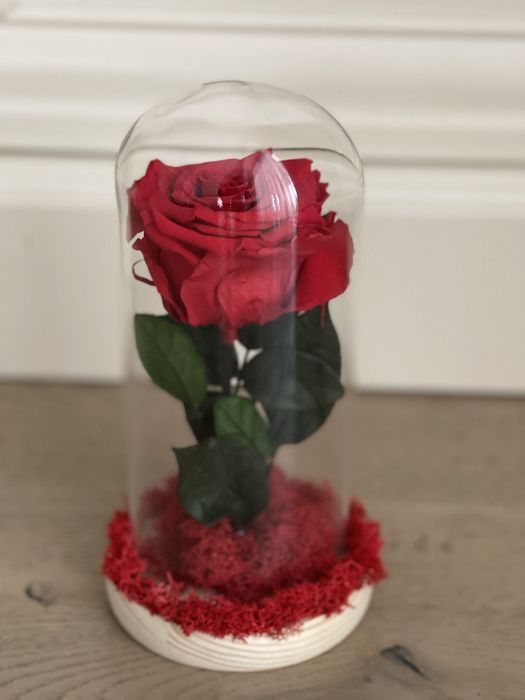 Trandafir criogenat cluj