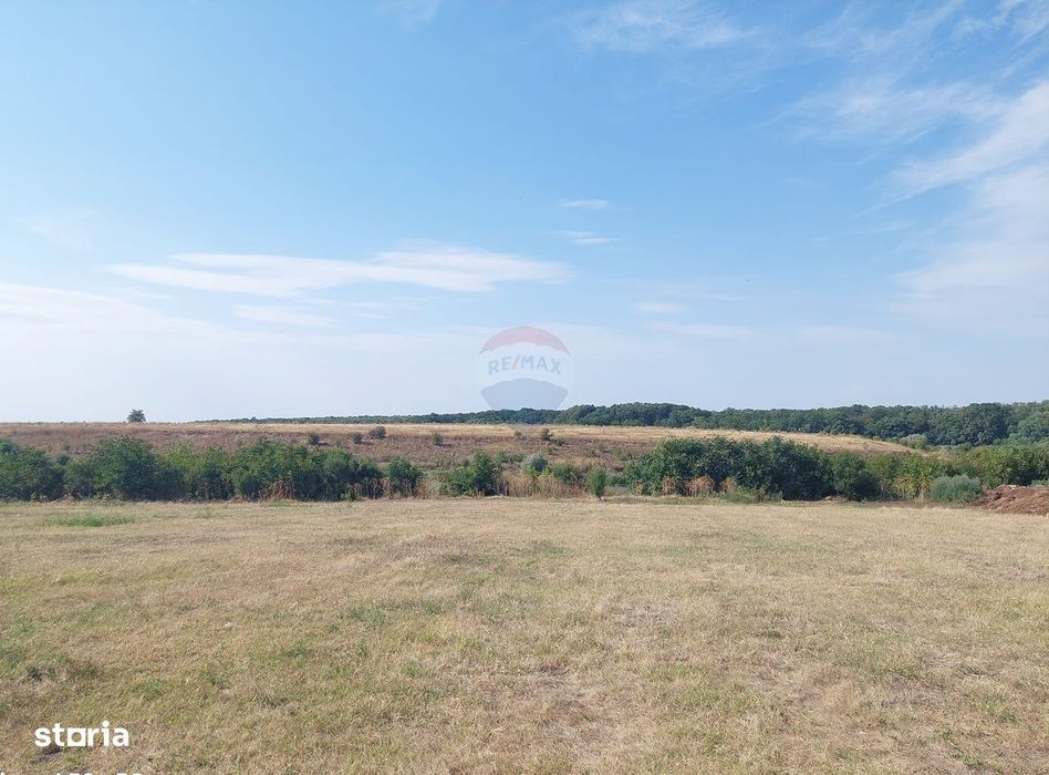 Teren de vânzare cu deschidere la lac – 2136 mp | Grădiștea, Ilfov