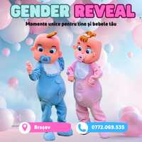 Gender Reveal cu mascote bebelusi