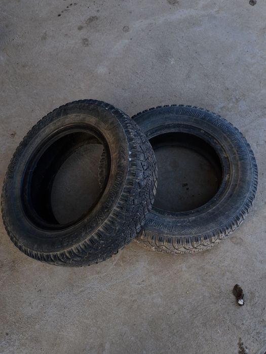 Зимний покрышка 13 тік