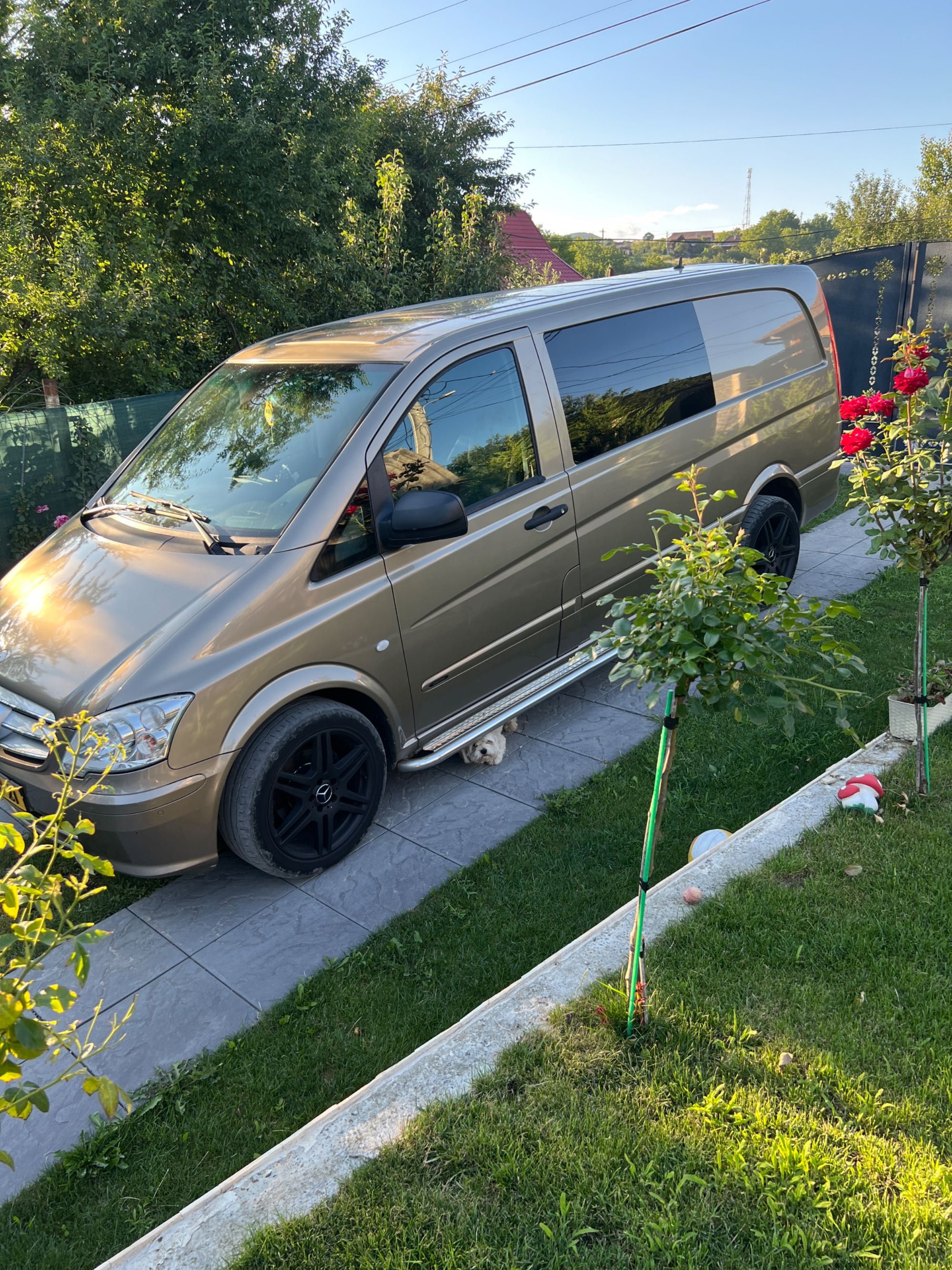 Mercedes Vito 122