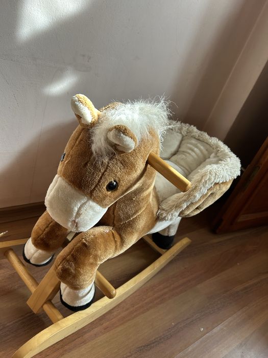 Люлеещо се конче