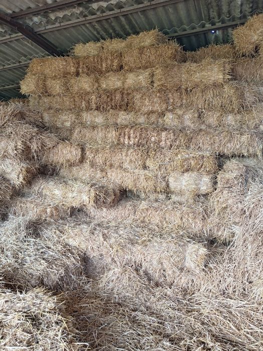 Baloti de paie                         .