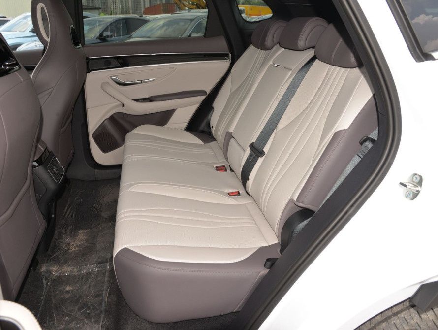 BYD CHAMPION Smart Drive 2026 + ev