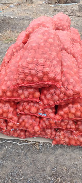 Пияз сатылады         .