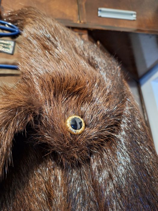 Haina de dama din blana naturala de castor