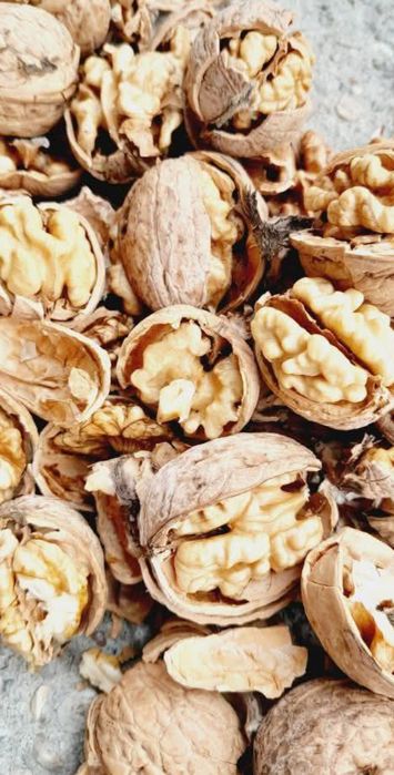 Avem nuci de vânzare de anul acesta 6 Lei kilogramul