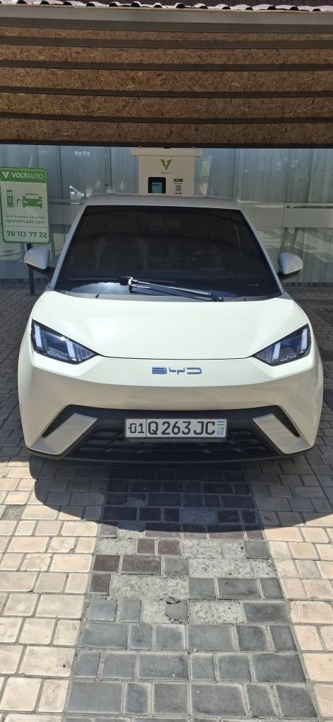 Byd seagull 2023