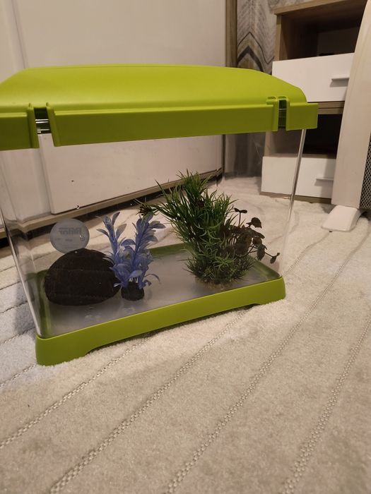Пластмасов аквариум + подарък украса